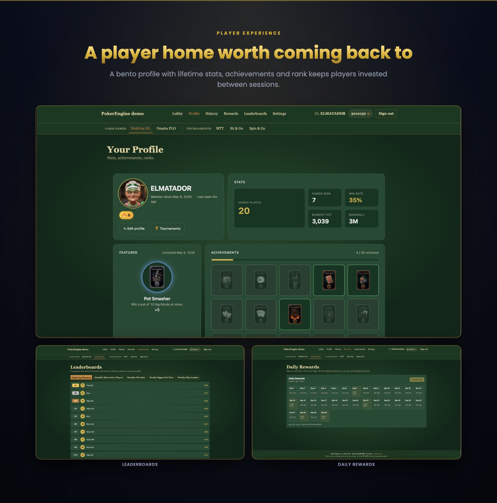 Player profile with stats, achievements and tiered ranking